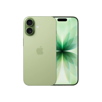 Apple iPhone 17 256 ГБ «Шалфейный» SIM+eSIM